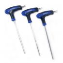 Autojack 10 Piece T-Handle Metric Hex Key Set